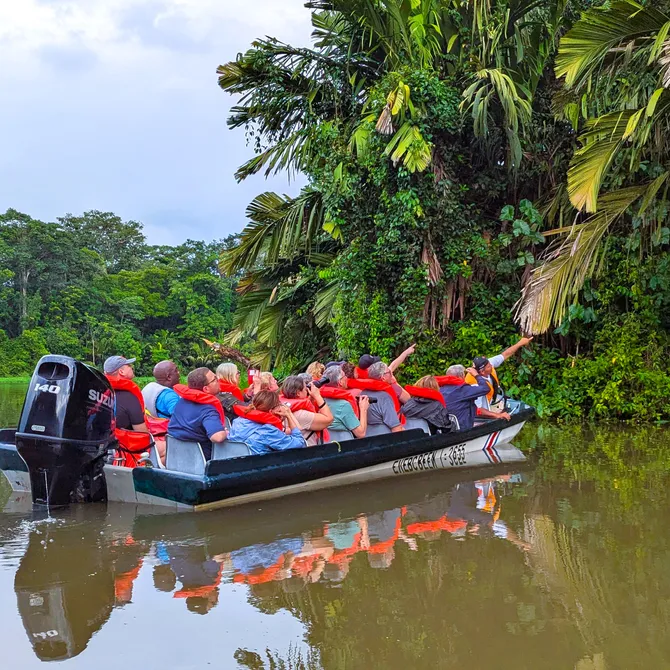 Dieren spotten in Tortuguero